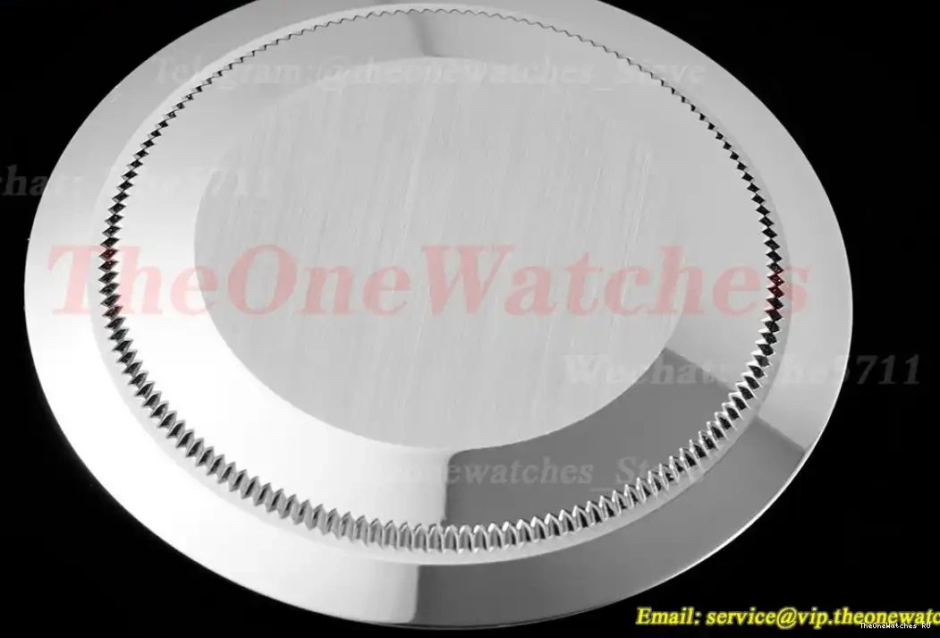40mm SS Rmn V4 Weight) 228239 (Gain VR3255 JDF DayDate SS Black 0421